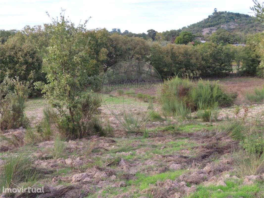 Quinta T0 para venda - Grande imagem: 3/26