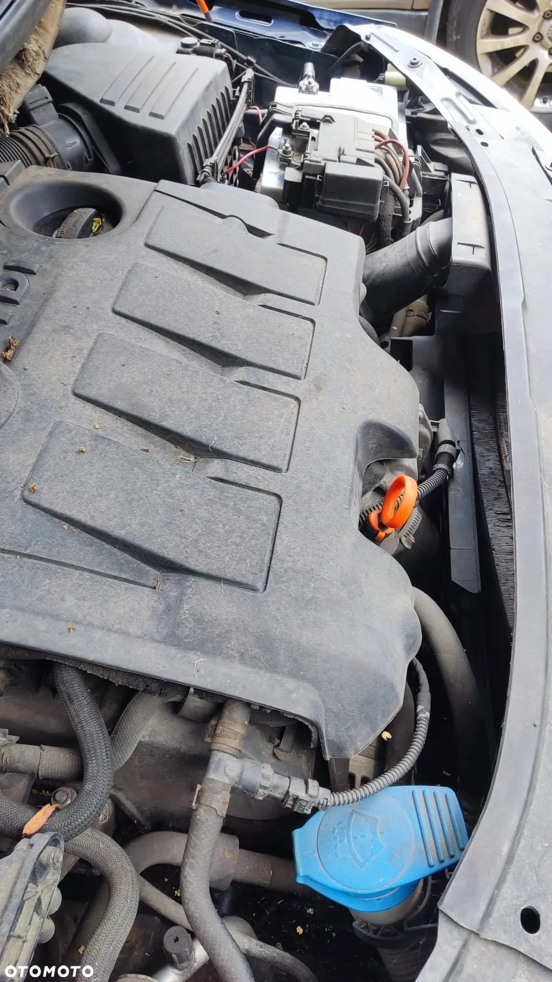 Skoda Fabia 1.6 TDI DPF Active - 9