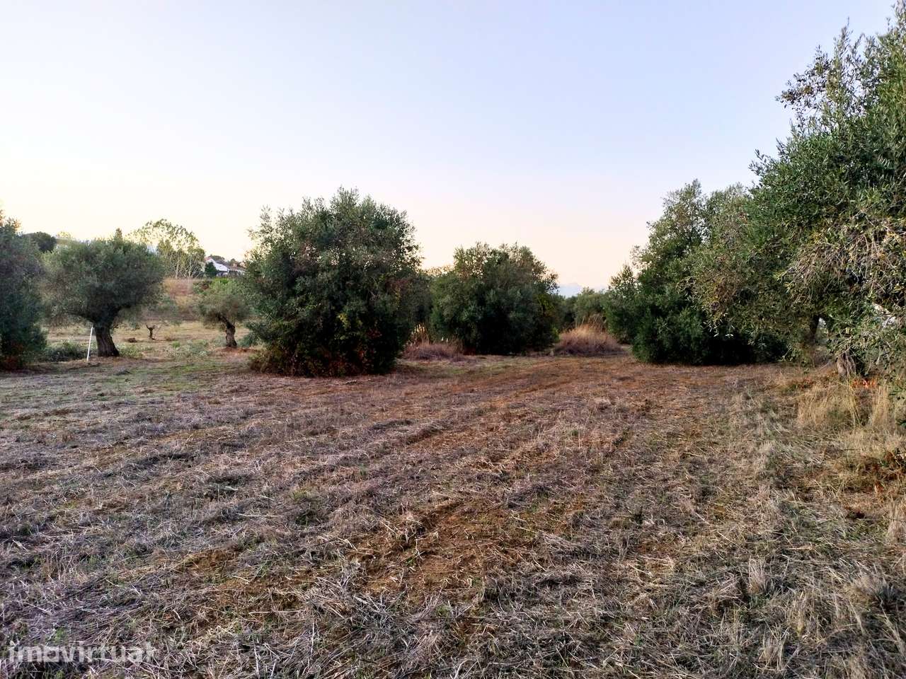 Terreno 4.400m2 e com possibilidade de construção - Grande imagem: 3/7