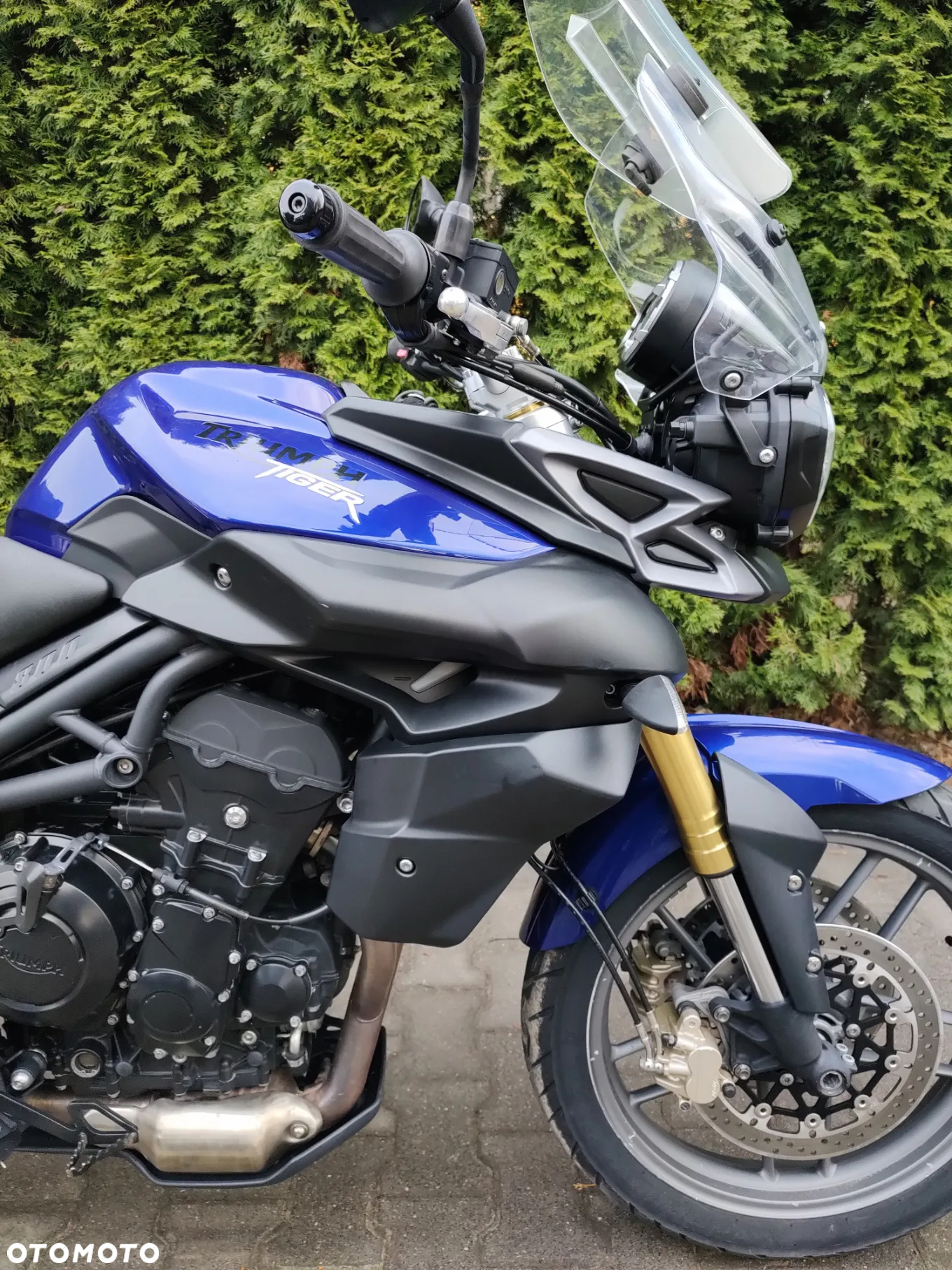 Triumph Tiger - 4