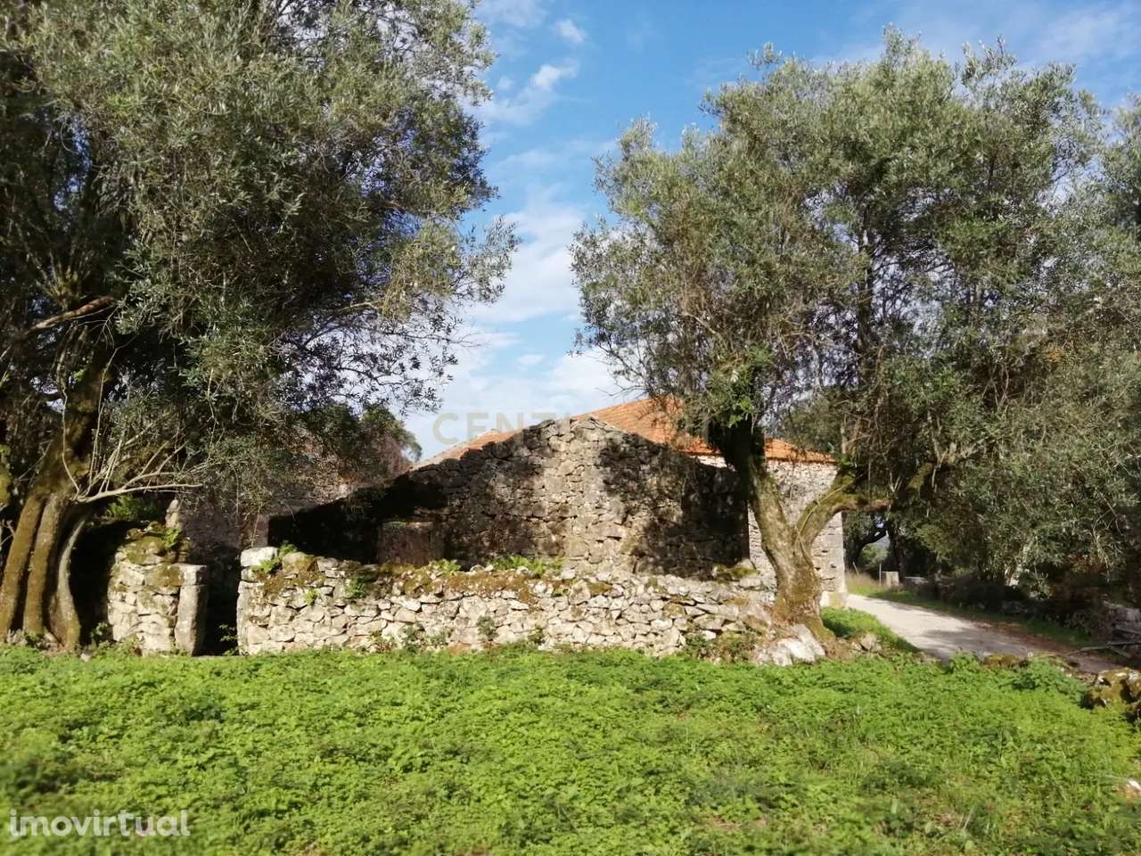 Ruína em Pedra - Oportunidade de Investimento em Abrã, Santarém. - Grande imagem: 3/44