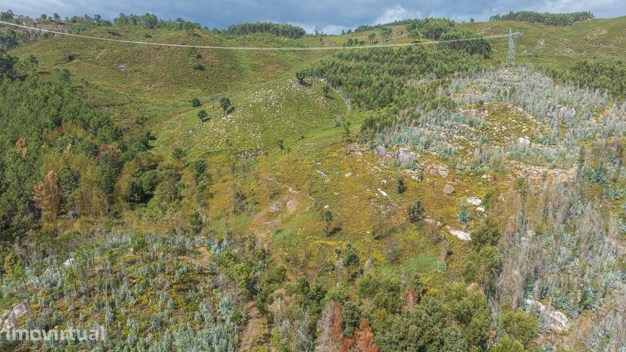 Terreno com 18.500m² em Brunhais - Grande imagem: 3/13