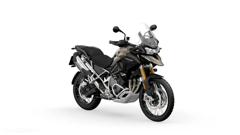 Triumph Tiger - 10