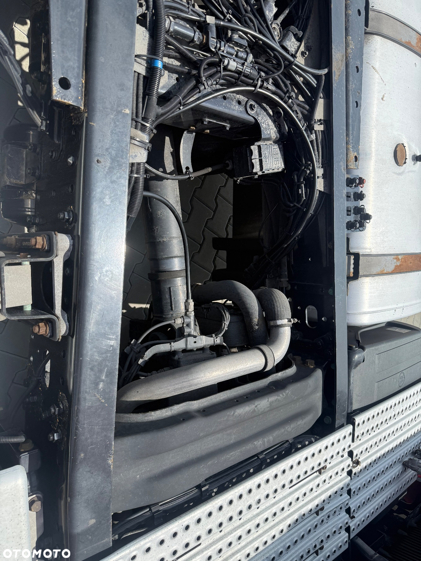 MAN TGX - 5