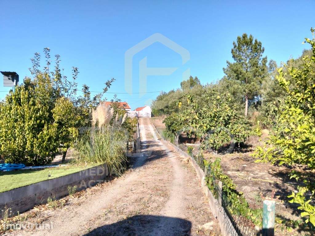 Quintinha com Moradia com 4.500 m2 Terreno Urbano - Grande imagem: 3/33