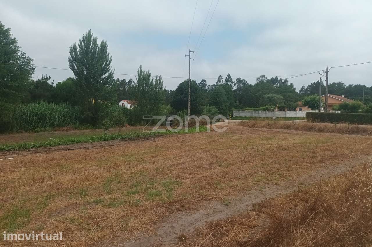 Terreno Agricola em Moita Vaqueira - Arazede - Grande imagem: 4/8