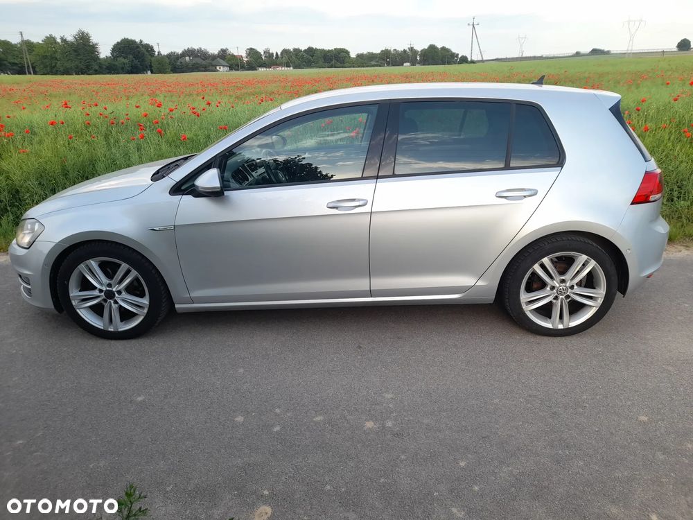 Volkswagen Golf 1.6 TDI BlueMotion Trendline - 7