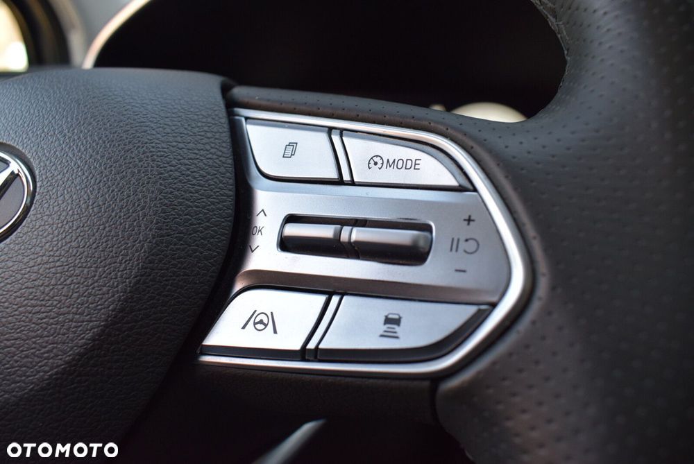 Hyundai Santa Fe 2.2 CRDi Platinum 4WD DCT - 29