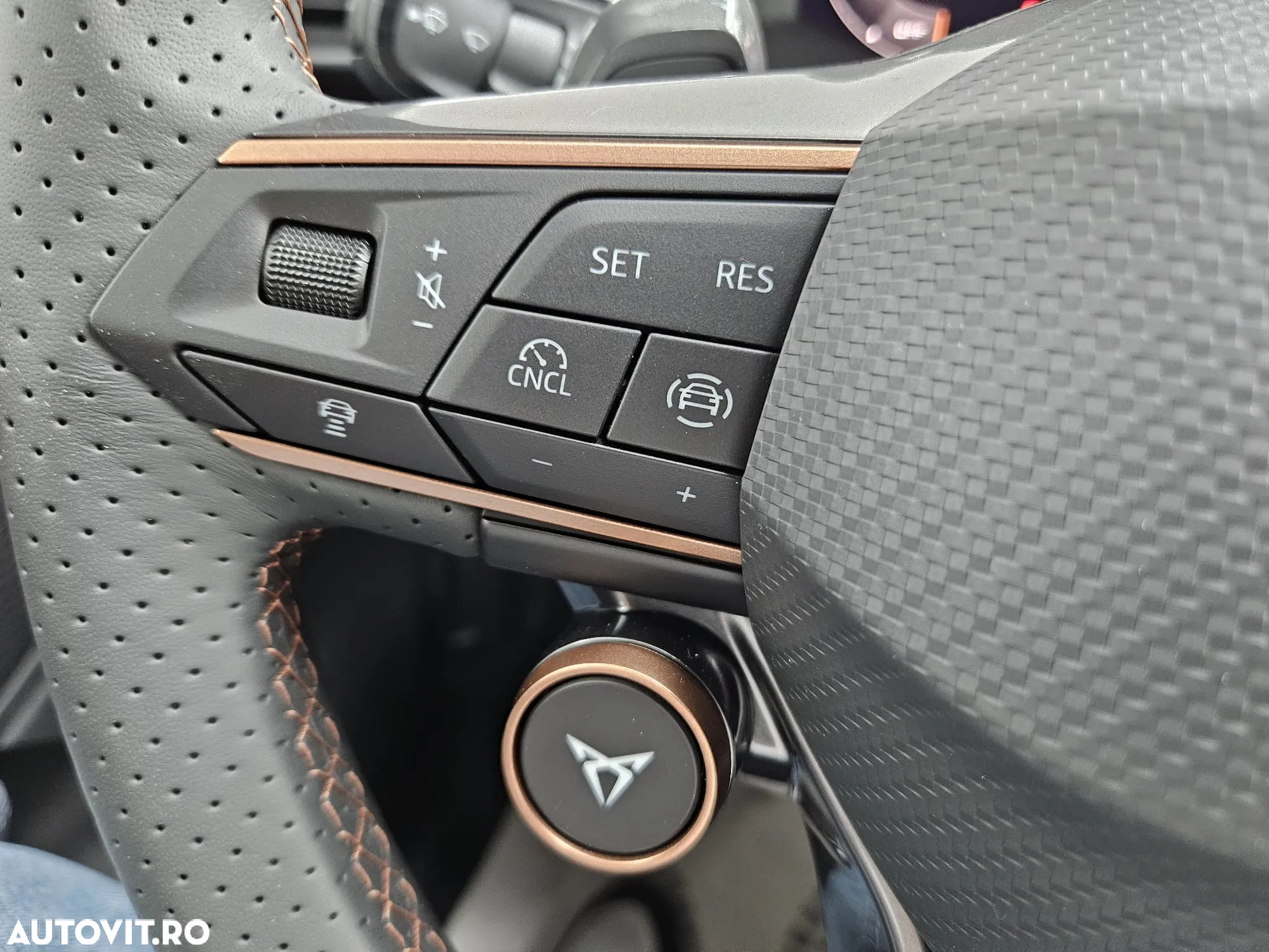 Cupra Terramar - 11
