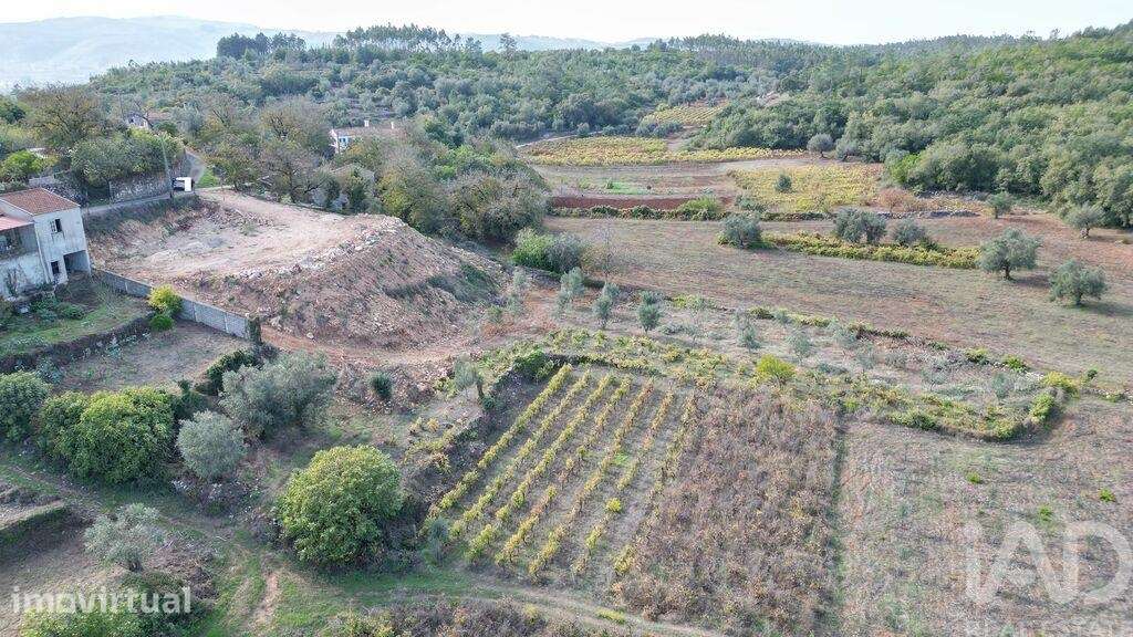 Terreno para construção em São Miguel, Santa Eufémia e Rabaçal - Grande imagem: 3/23