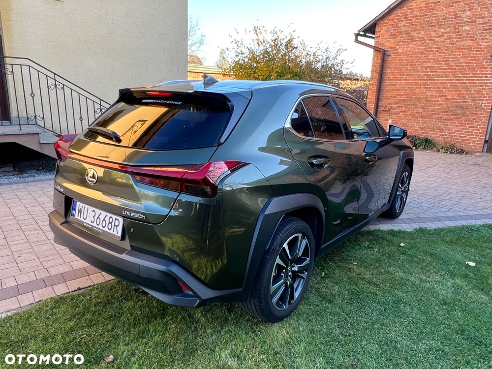 Lexus UX 250h GPF Business Edition 2WD - 2