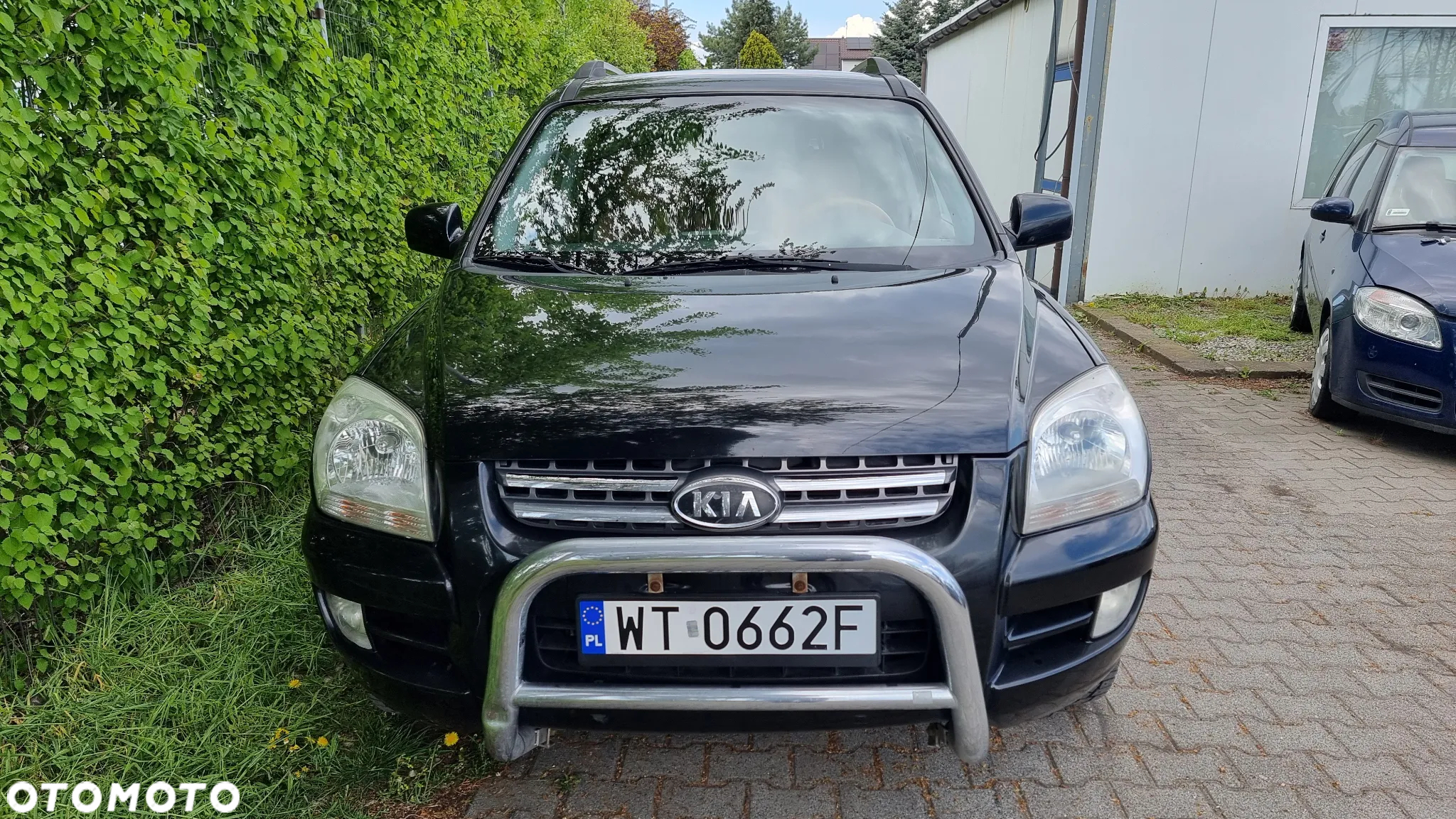 Kia Sportage - 19