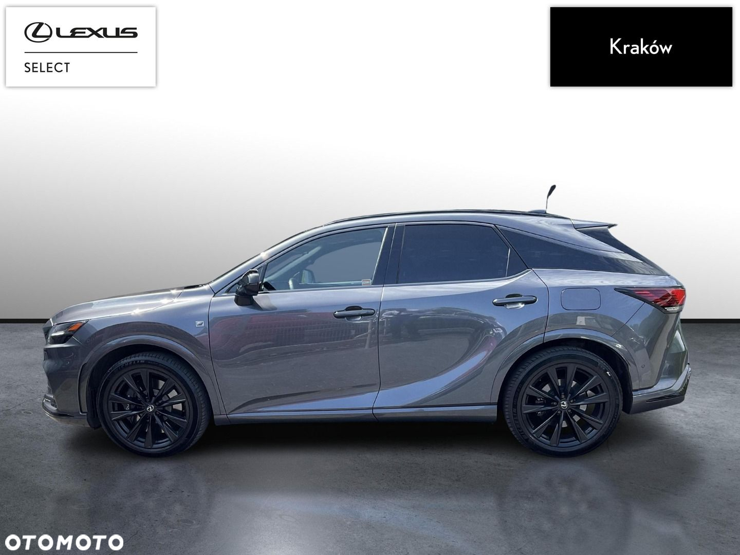 Lexus RX - 2