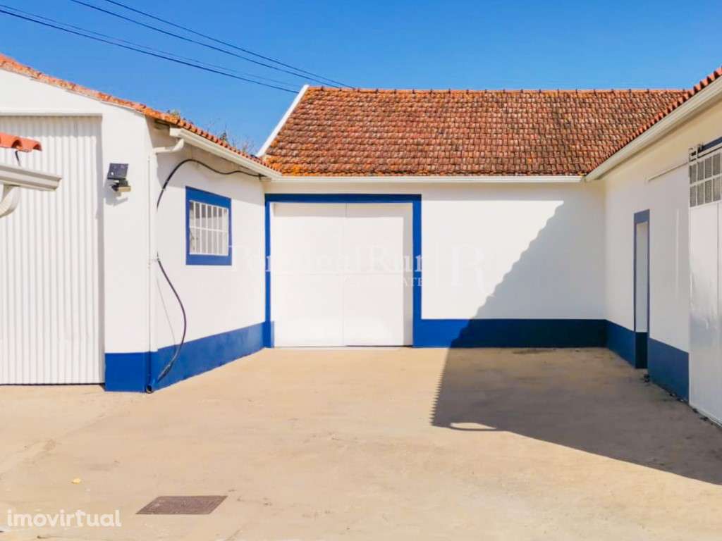 Quinta com vários pavilhões agrícolas em Santarém - Grande imagem: 2/42