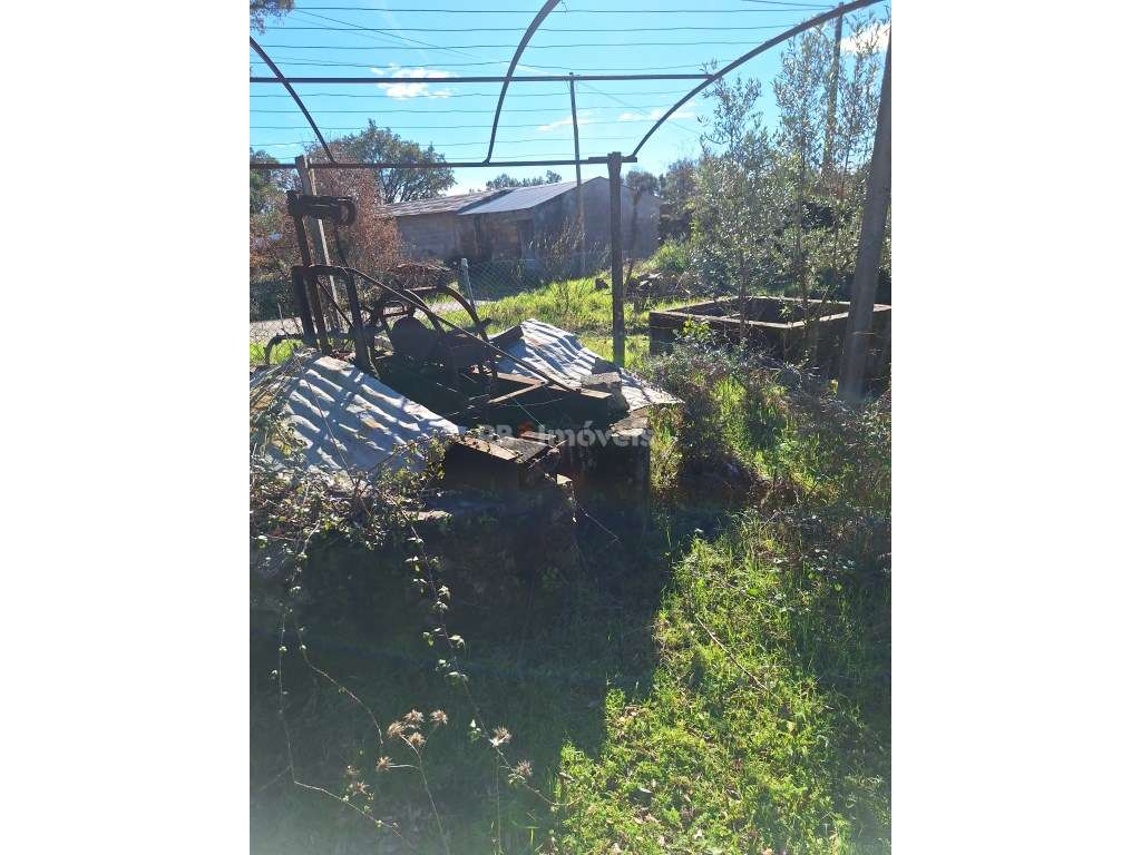 Quintinha com Casa em Pedra - Grande imagem: 4/15