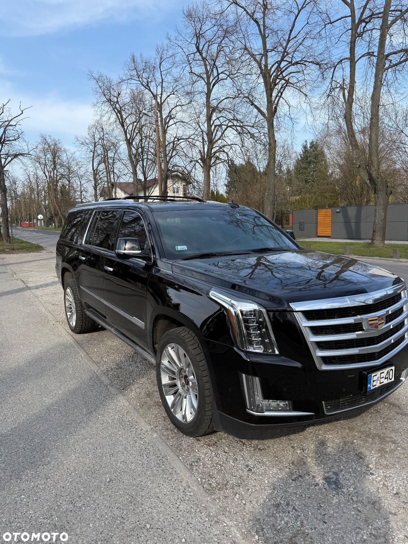 Cadillac Escalade - 1
