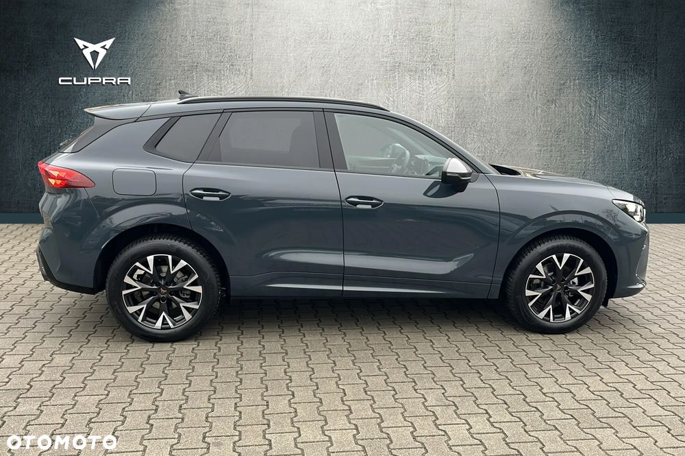 Cupra Terramar - 6