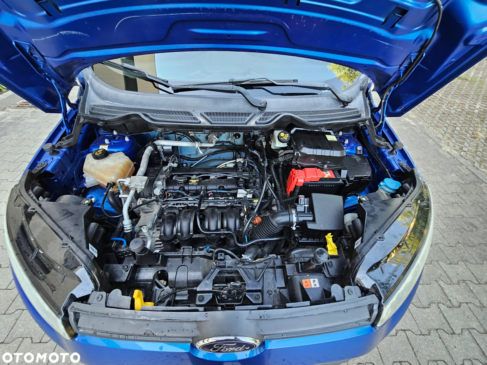 Ford EcoSport 1.5 Ti-VCT TREND - 12