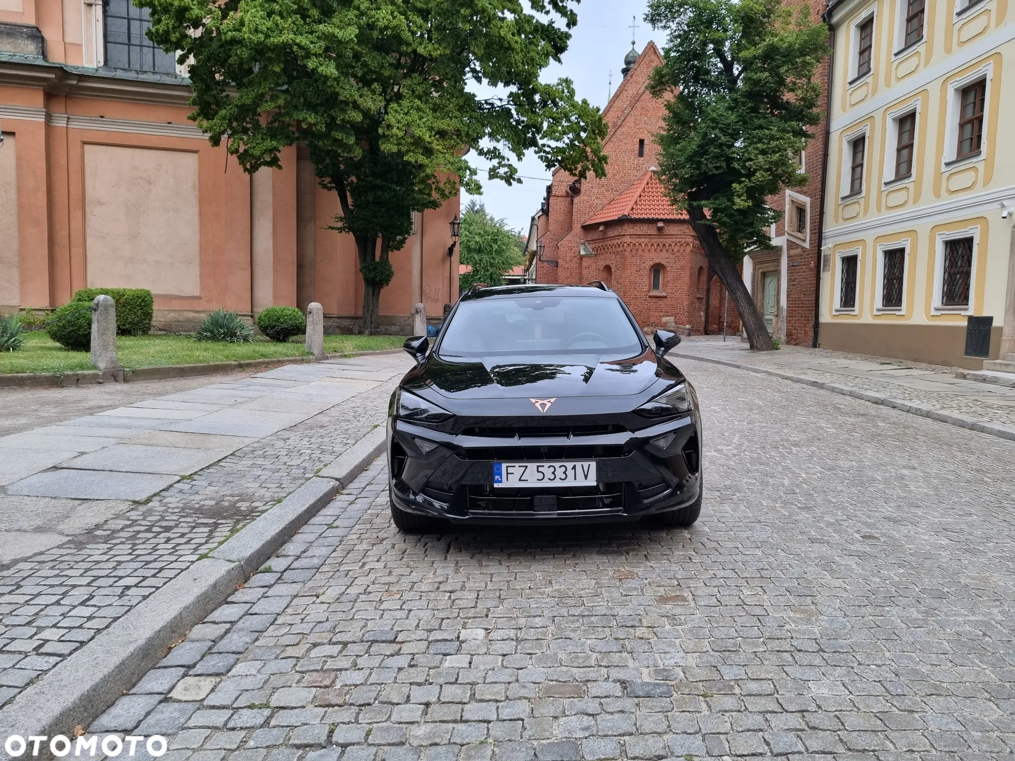 Cupra Formentor 2.0 TDI DSG - 16