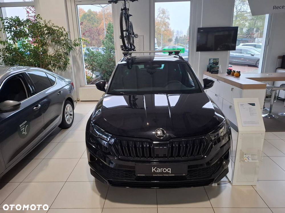 Skoda Karoq - 3