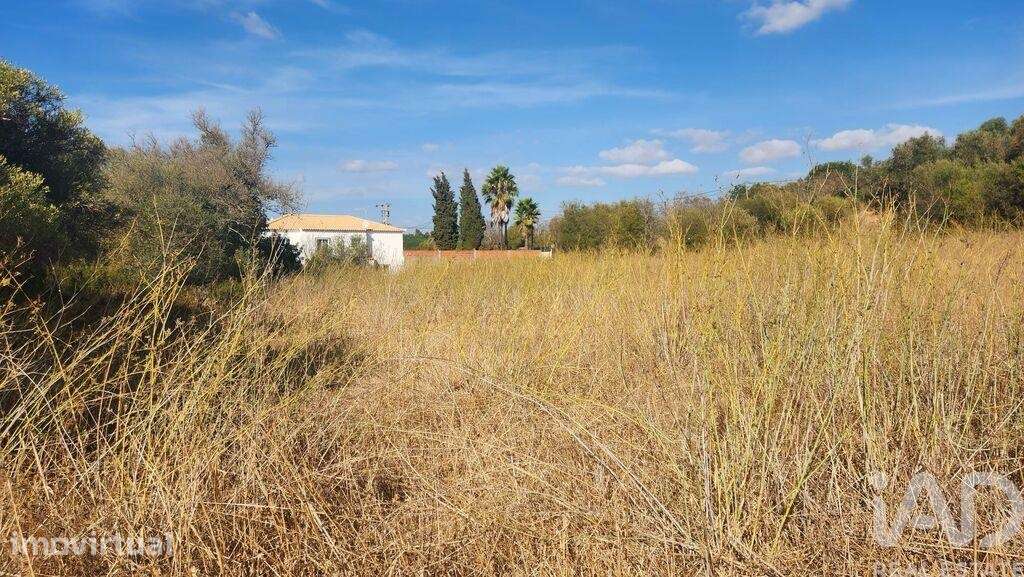 Terreno Agrícola em Algoz e Tunes - Grande imagem: 5/17