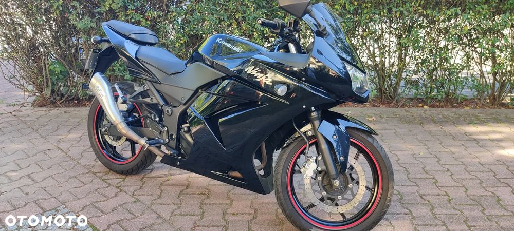 Kawasaki Ninja 250R - 4