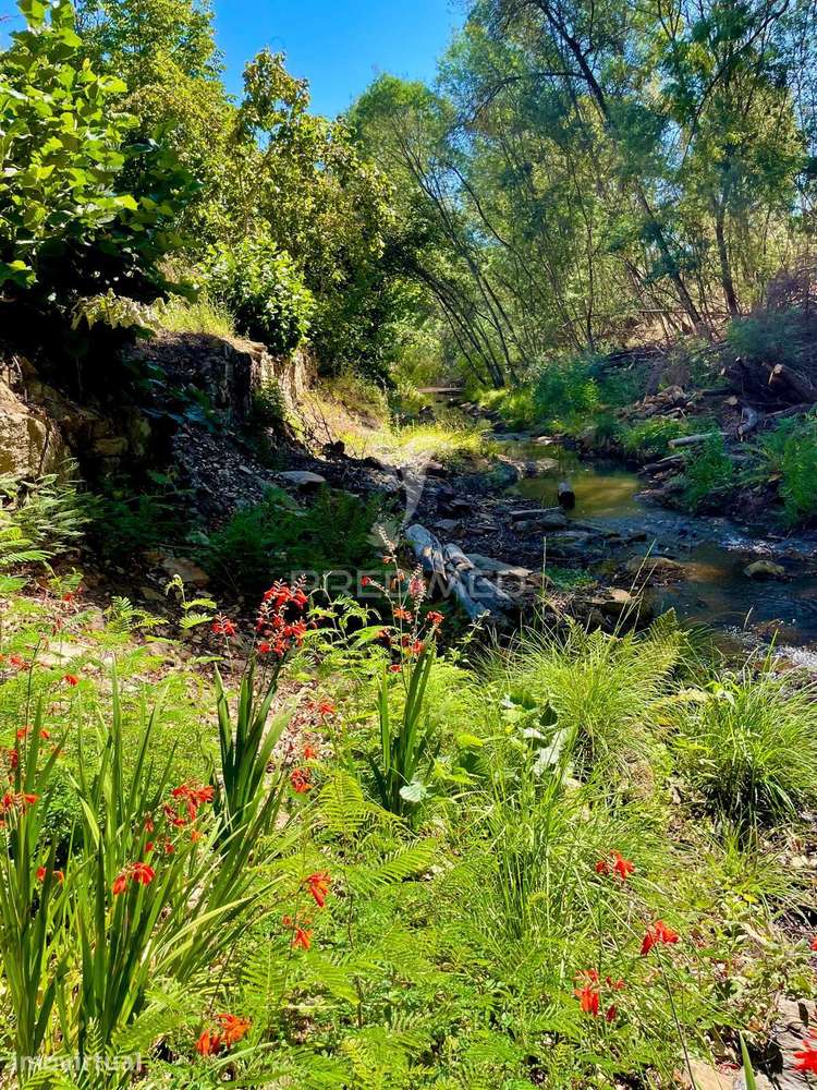 Quinta Rural - Grande imagem: 3/40