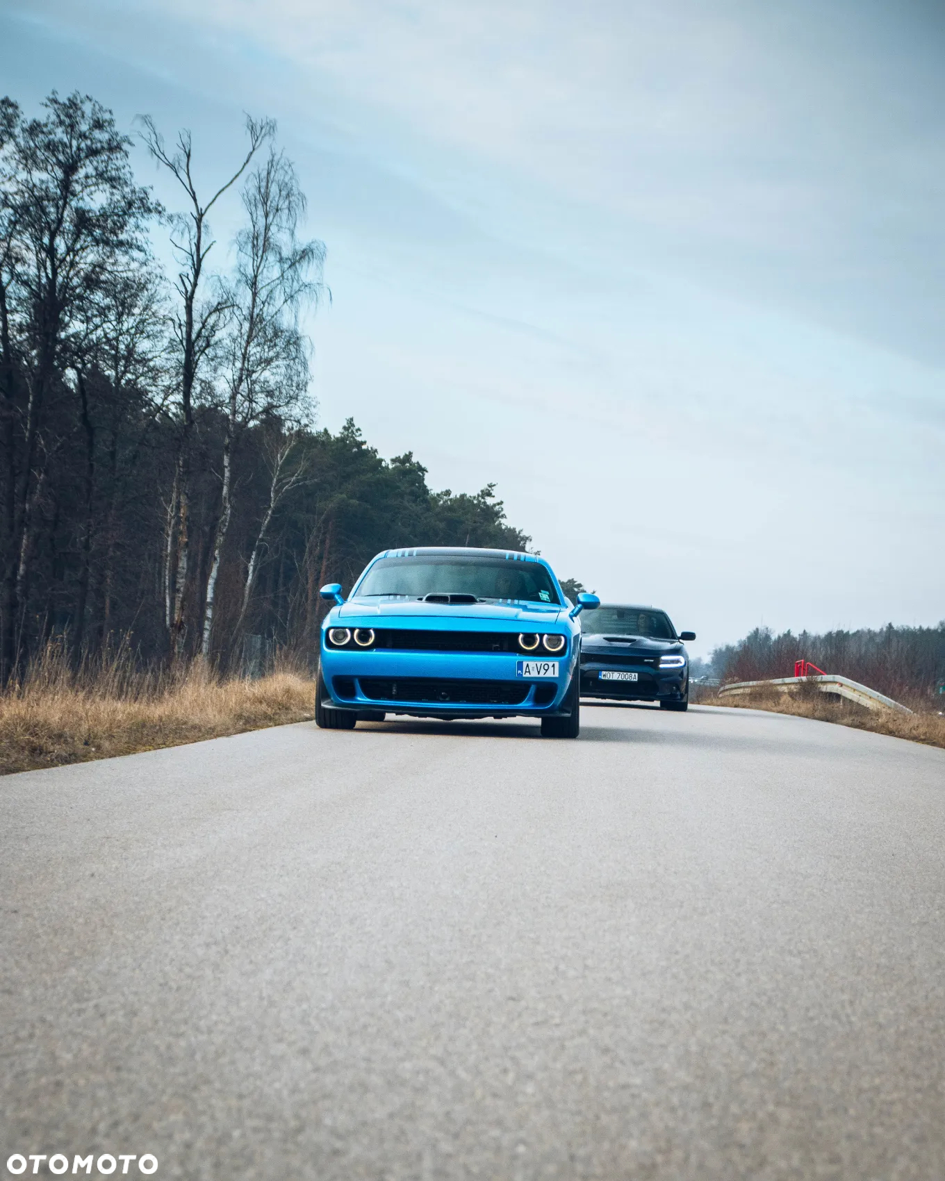 Dodge Challenger Automatik R/T Plus Shaker - 33