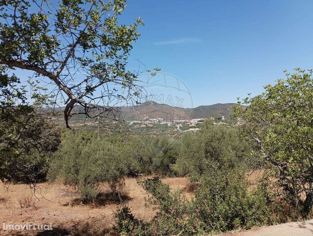 Terreno  para venda - Grande imagem: 3/11