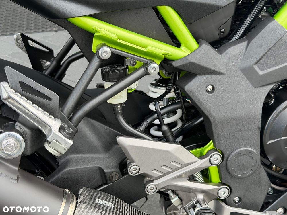 Kawasaki Ninja - 14