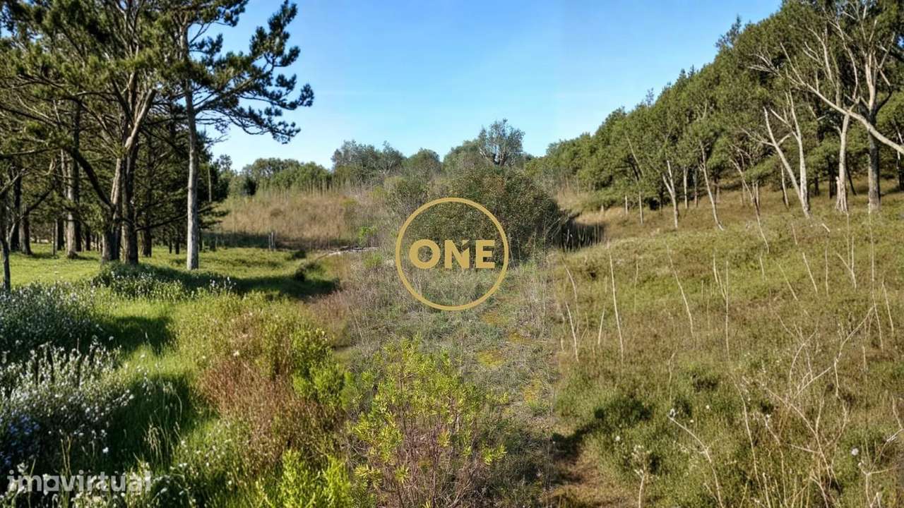 Terreno Rústico | 7440m2 | Lamarosa - Grande imagem: 2/9