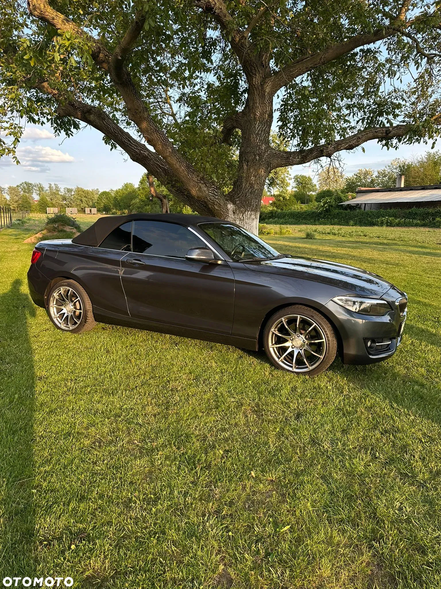 BMW Seria 2 228i Cabrio Sport-Aut Luxury Line - 3
