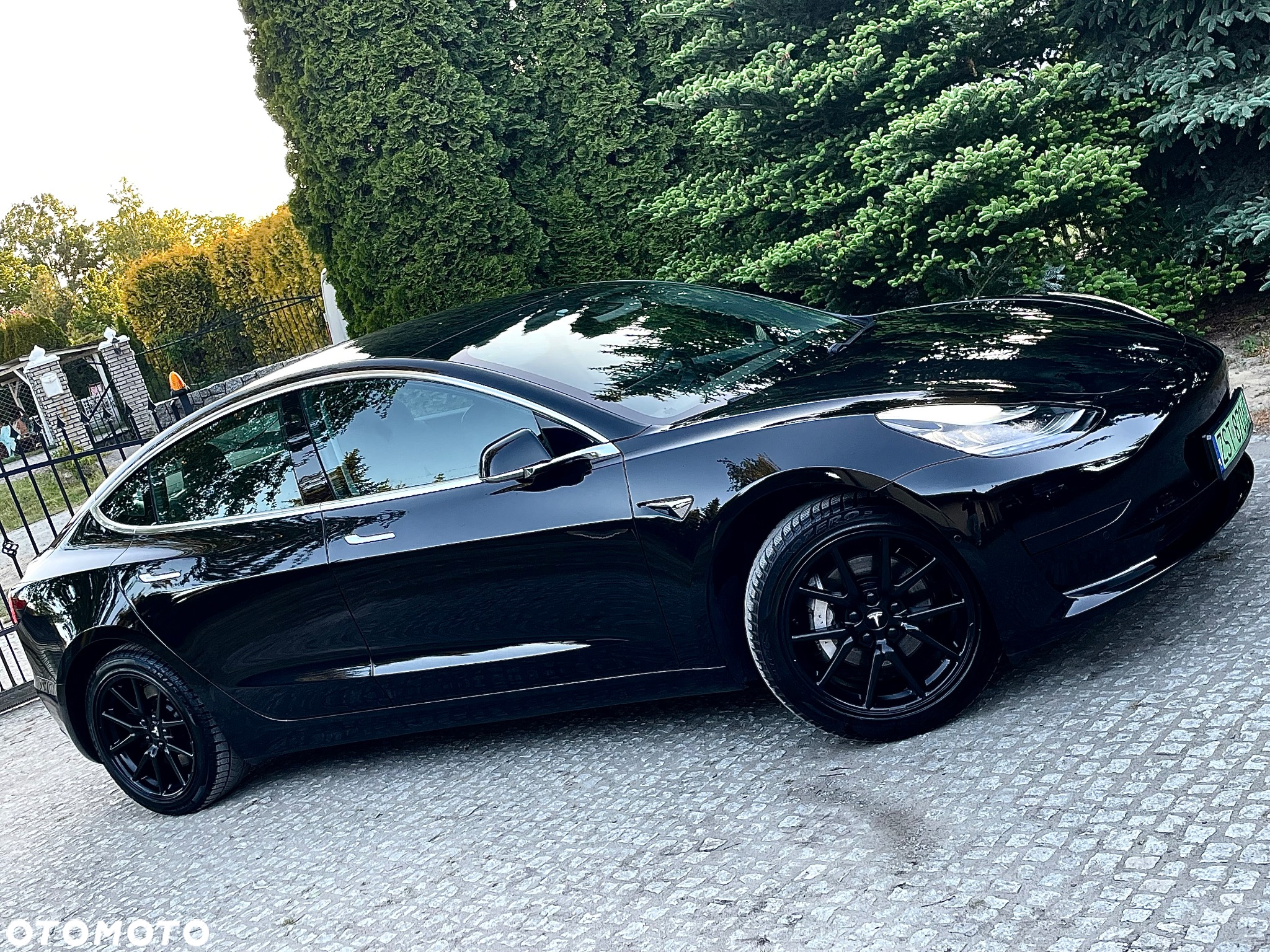 Tesla Model 3 Standard Reichweite Plus Hinterradantrieb - 6