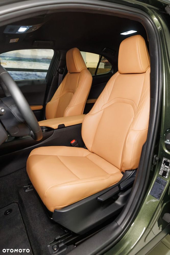 Lexus UX 300h F Sport Design - 15