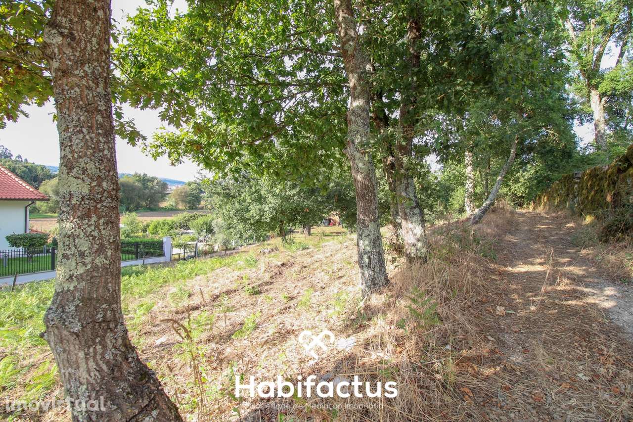 Terreno para Construção em Sabugosa – 1470m² - Grande imagem: 5/13