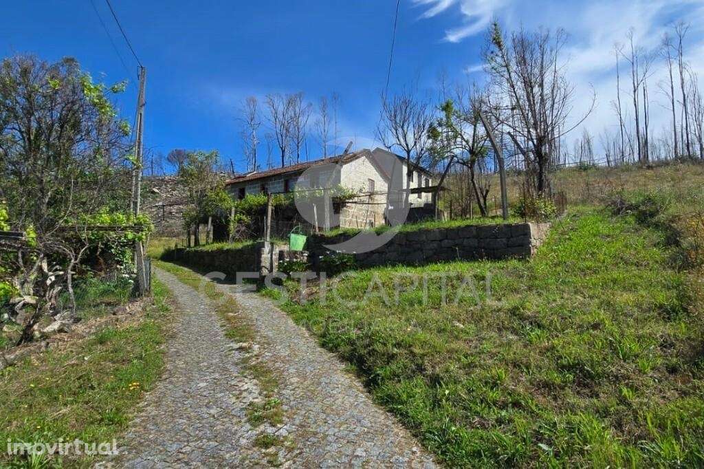 Moradia para recuperar com vista para o Douro em Balde, Baião - Grande imagem: 4/31