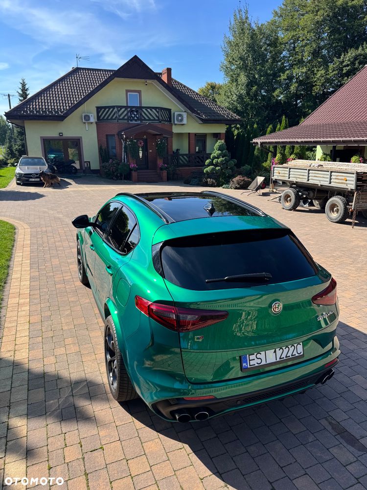 Alfa Romeo Stelvio 2.9 Bi Turbo V6 Quadrifoglio Q4 - 16