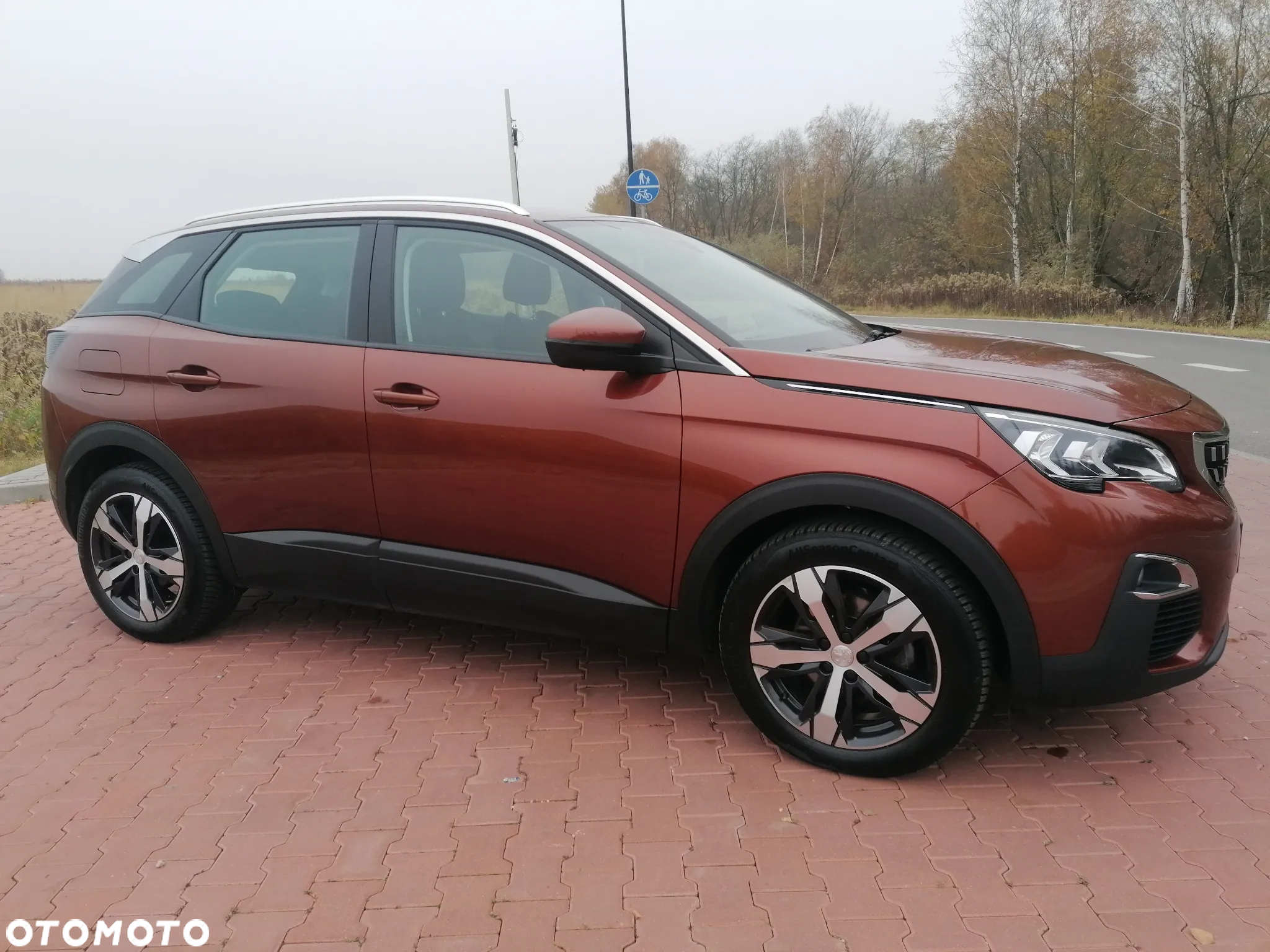 Peugeot 3008 1.6 BlueHDi Active S&S - 6