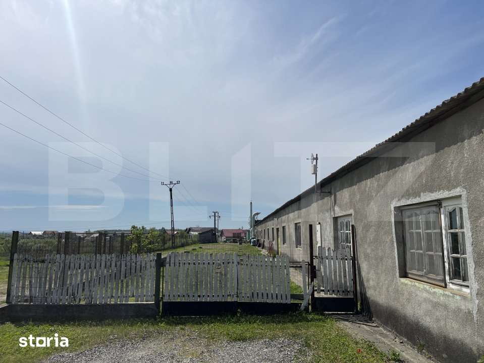 Hala de vanzare, 756mp construiti, zona  Gherta Mica - Imagine principală: 3/11