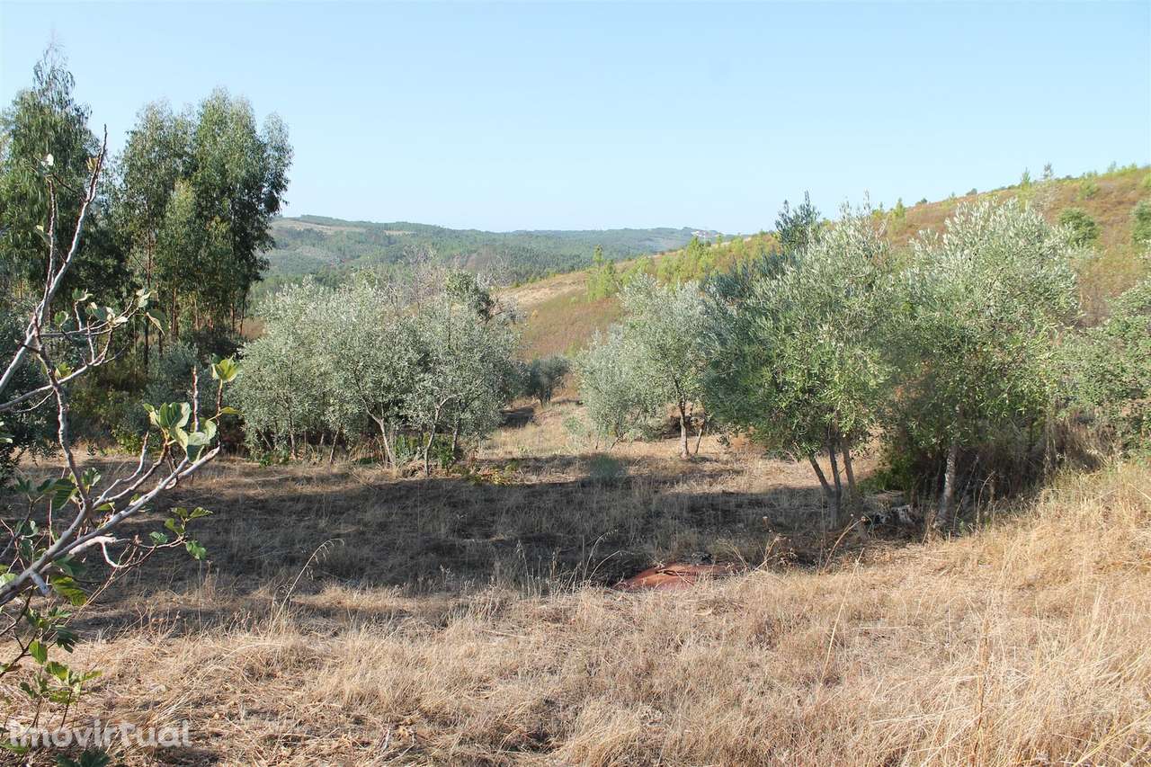 Terreno - Grande imagem: 2/12