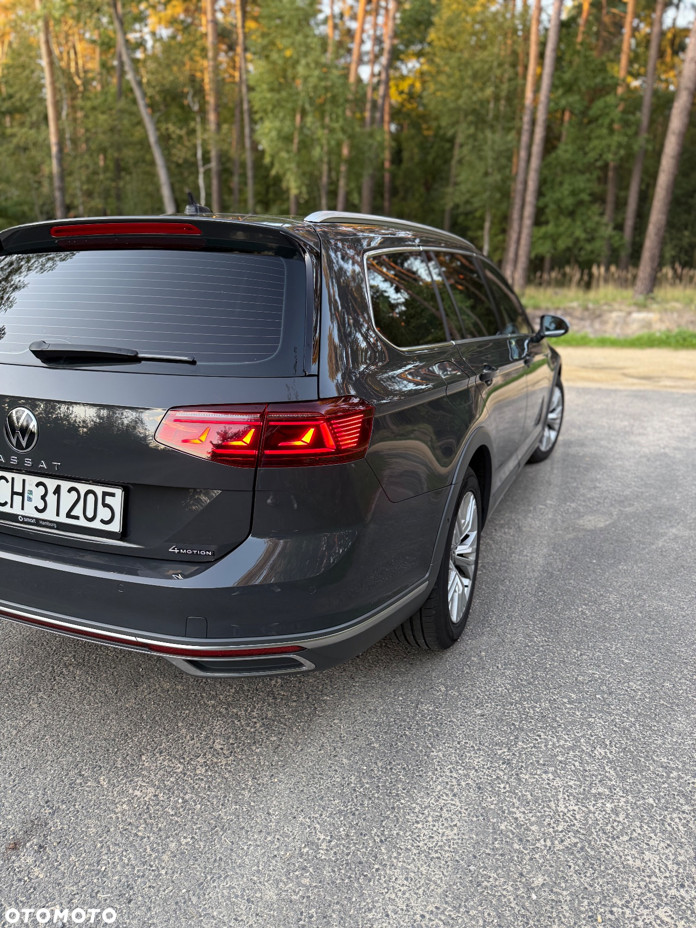 Volkswagen Passat Alltrack 2.0 TDI 4Mot DSG - 7