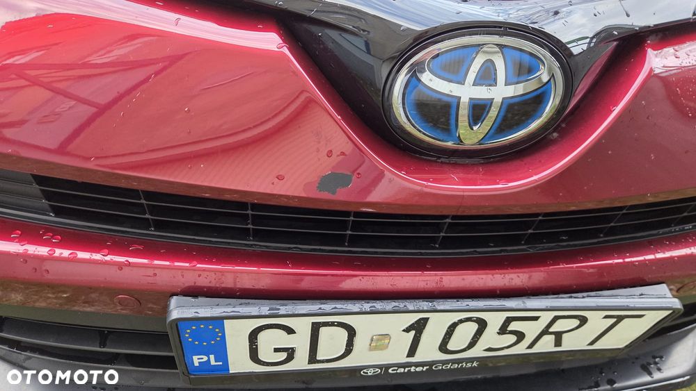 Toyota RAV4 Hybrid Prestige 4x2 - 16