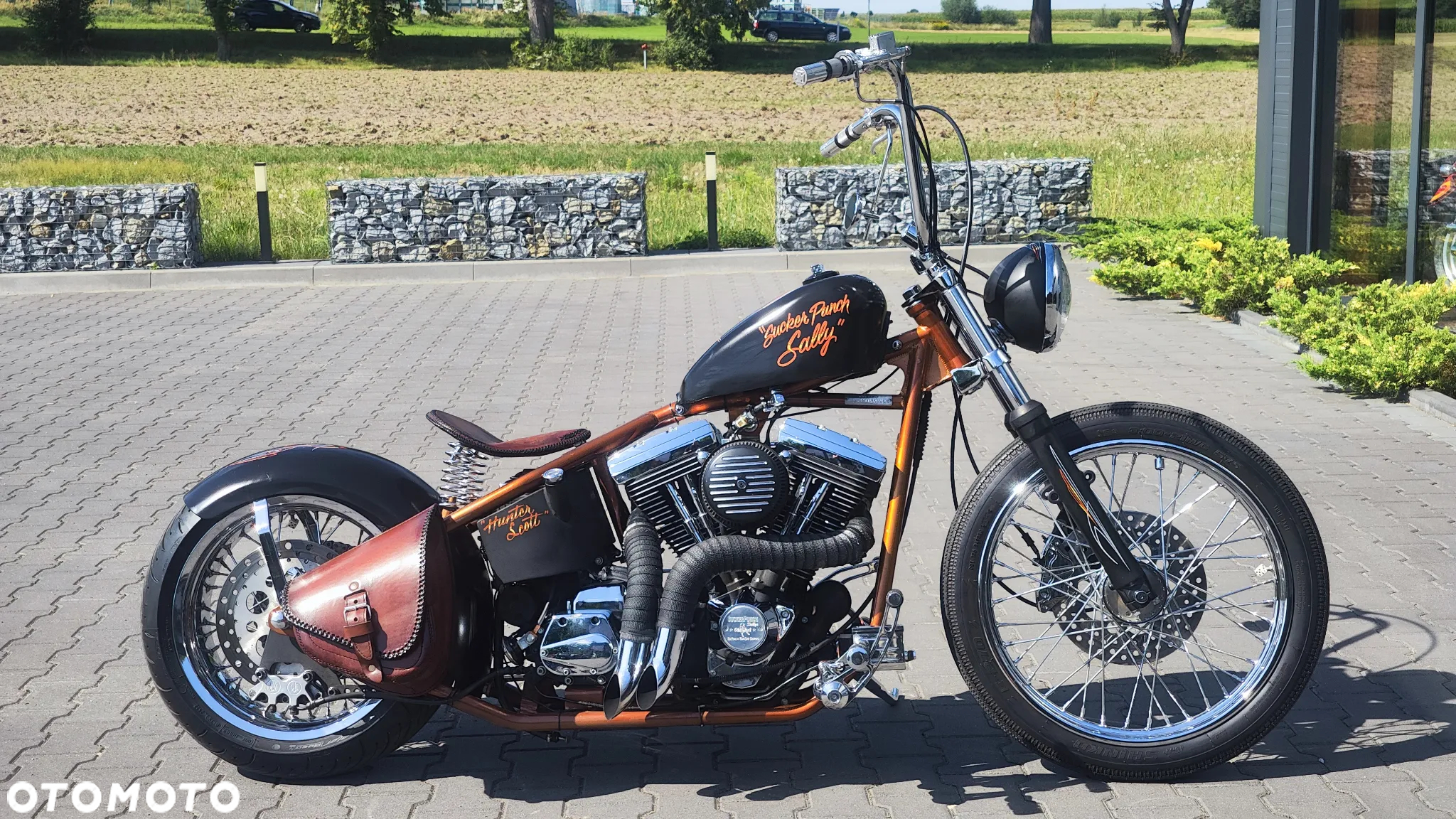 Harley-Davidson Softail - 4