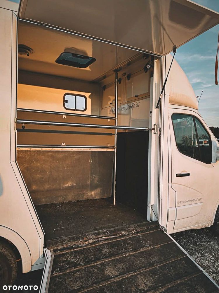 Renault Master Koniowóz na 2 konie - 10