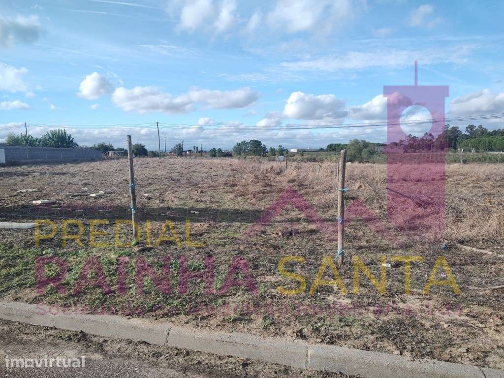 Terreno rustico COM POÇO E ELETRICIDADE NO TERRENO-Alpiarça - Grande imagem: 3/7