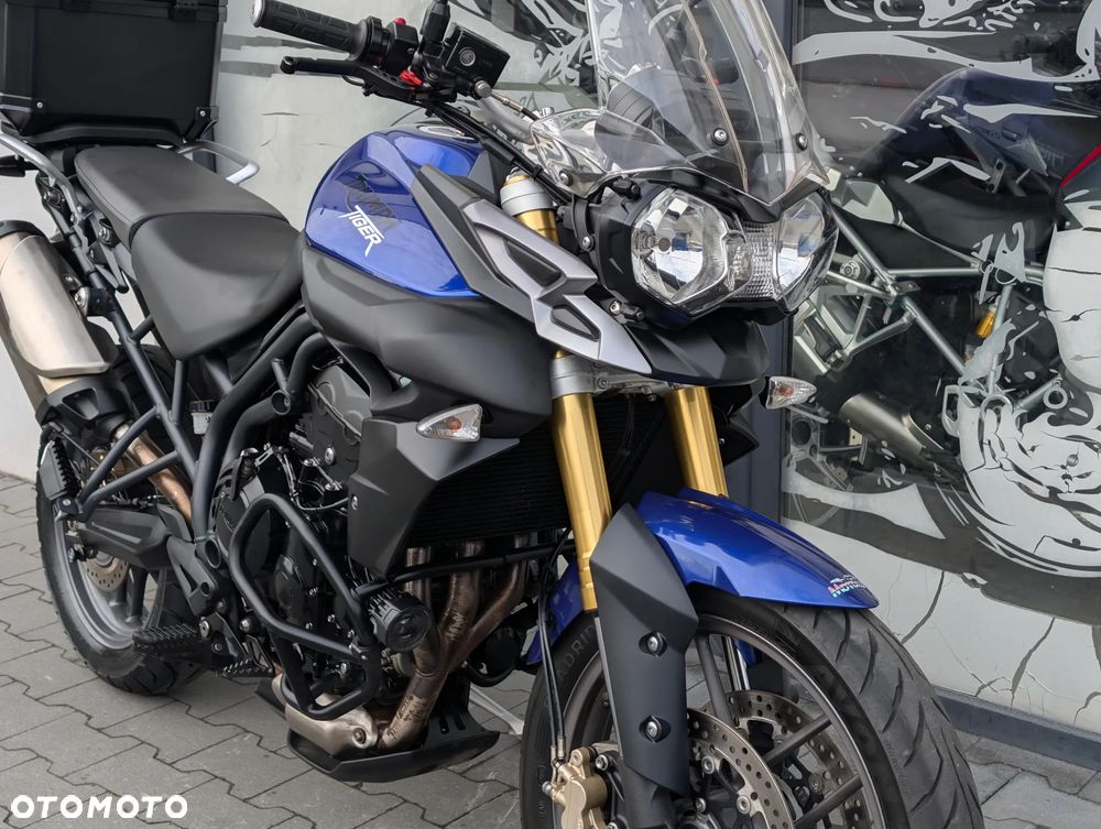 Triumph Tiger - 15