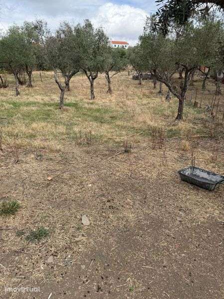 Terreno em maxiais - Grande imagem: 4/5