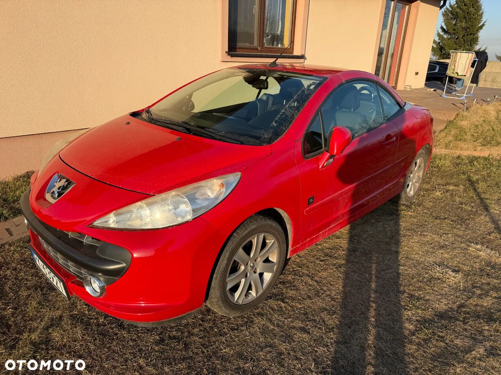 Peugeot 207 - 38