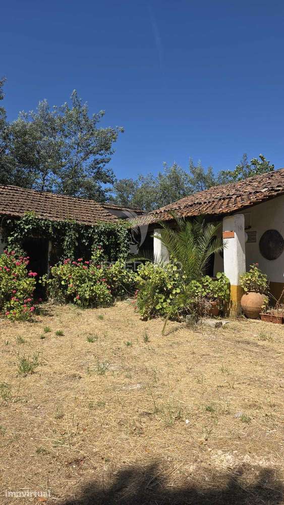 Moradia T2 com quinta para comprar em Espinheiro - Grande imagem: 5/39