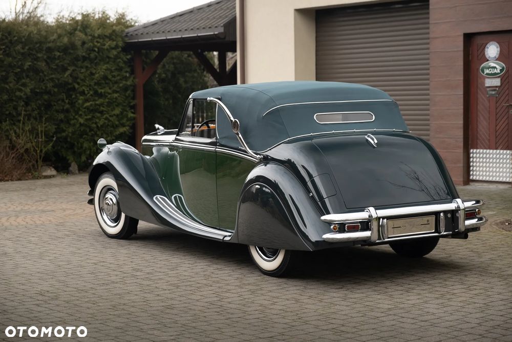 Jaguar Inny - 7